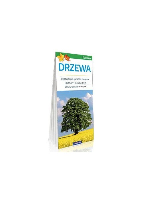 Drzewa