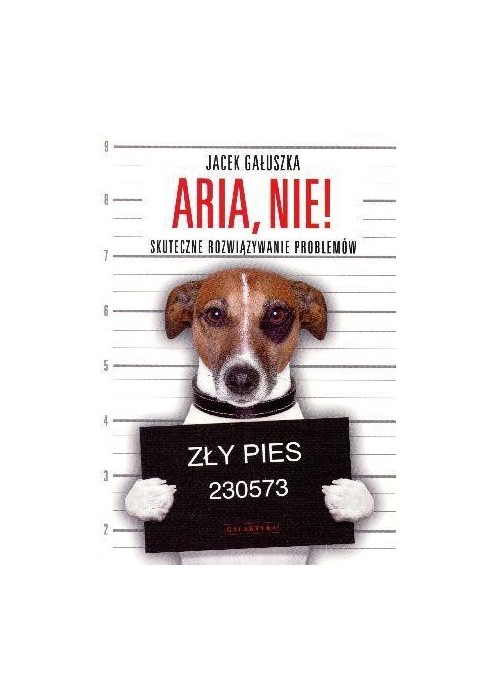 Aria, nie! Skuteczne rozwiązywanie problemów