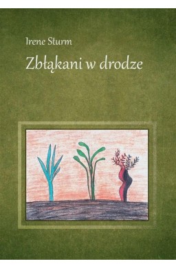 Zbłąkani w drodze