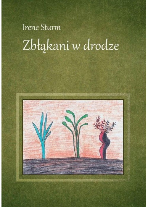 Zbłąkani w drodze