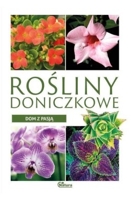 Dom z pasją. Rośliny doniczkowe