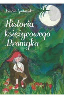 Historia księżycowego Promyka