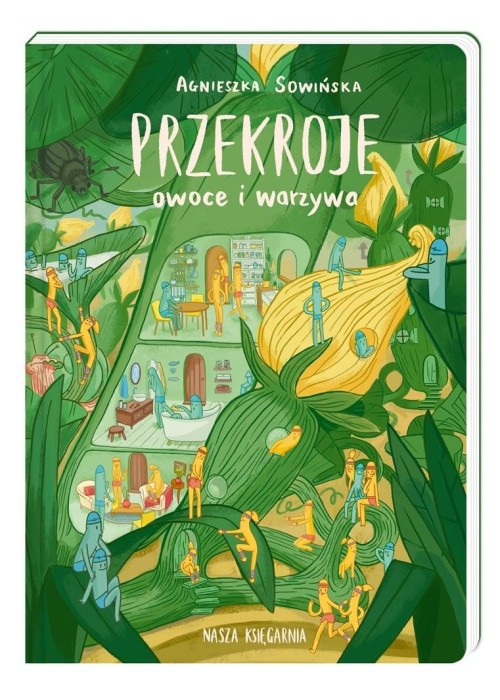 Przekroje: owoce i warzywa