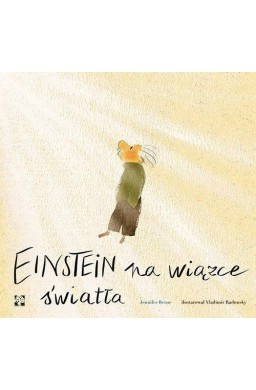 Einstein na wiązce światła