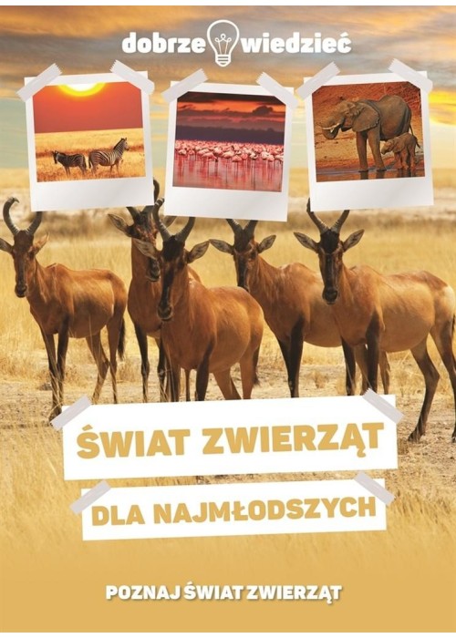 Świat zwierząt dla najmłodszych