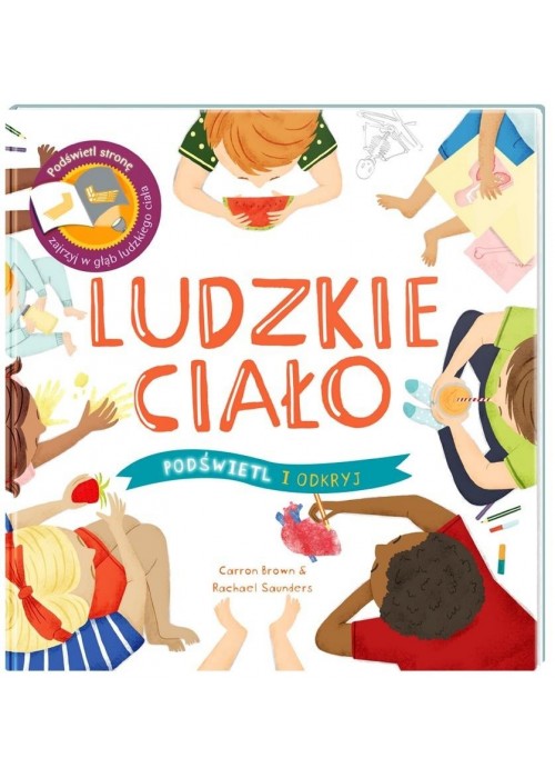 Podświetl i Odkryj. Ludzkie ciało