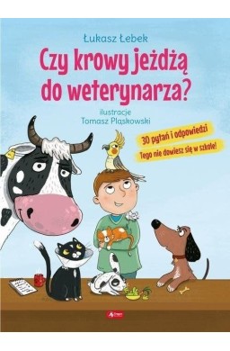 Czy krowy jeżdżą do weterynarza?