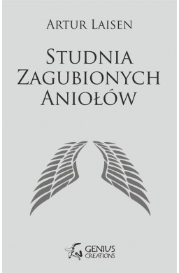 Studnia Zagubionych Aniołów