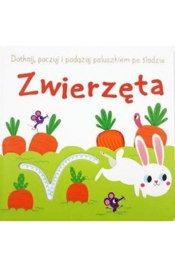 Dotknij, poczuj i podążaj po śladzie. Zwierzęta