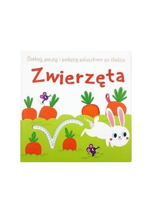 Dotknij, poczuj i podążaj po śladzie. Zwierzęta