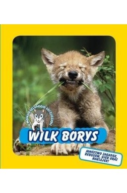 Wilk Borys. Świat dzikich maluchów