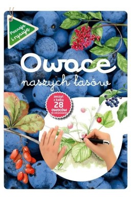 Owoce naszych lasów