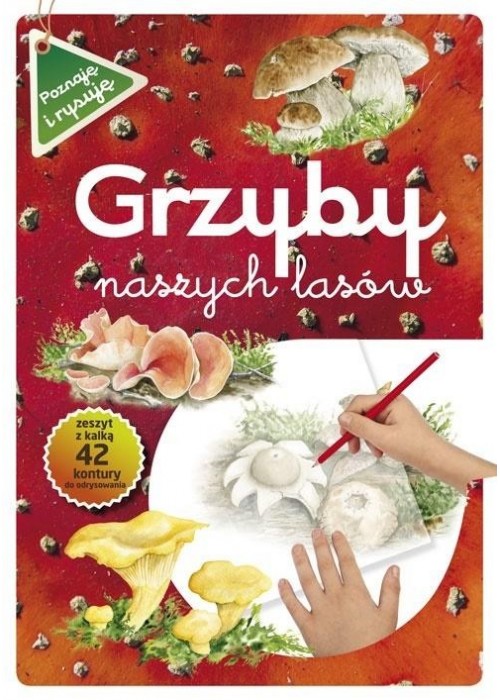 Grzyby naszych lasów