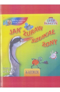 Jak żuraw szukał żony + audiobook