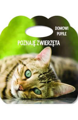 Poznaję zwierzęta. Ks. z uszkiem - Domowe pupile