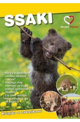 Ssaki. Ekoprzewodnik młodego odkrywcy
