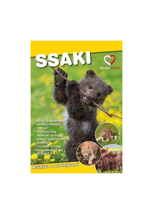 Ssaki. Ekoprzewodnik młodego odkrywcy