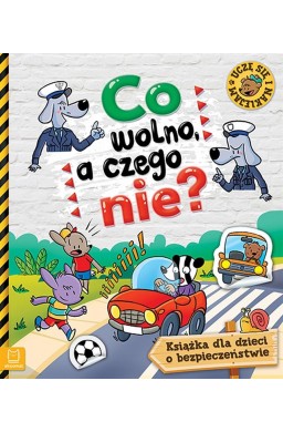 Co wolno, a czego nie. Książka o bezpieczeństwie