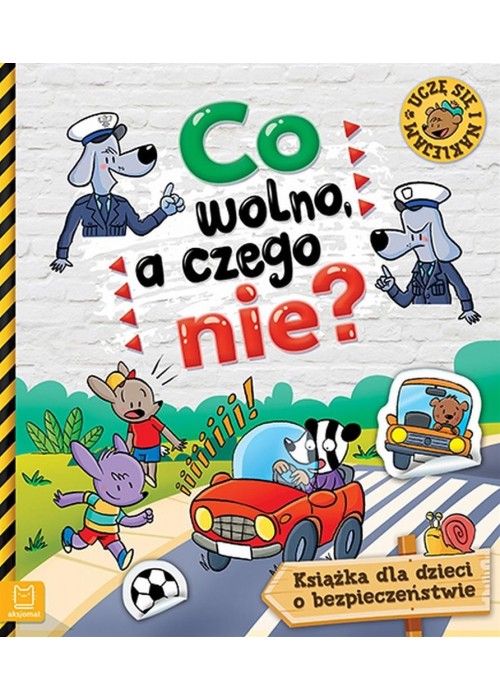 Co wolno, a czego nie. Książka o bezpieczeństwie