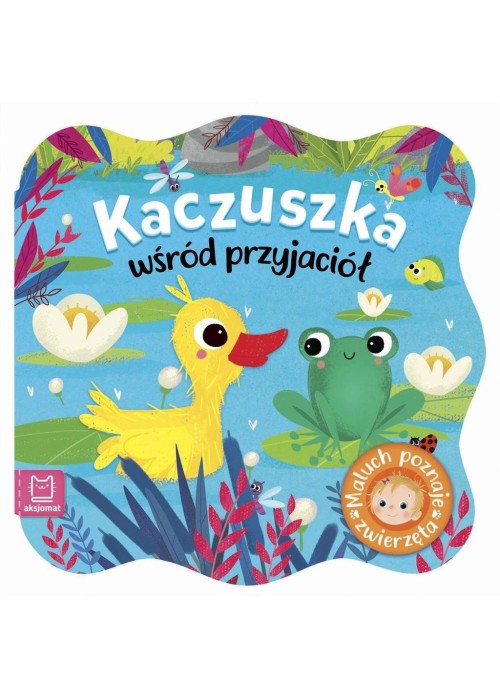 Maluch poznaje zwierzę. Kaczuszka wśród przyjaciół