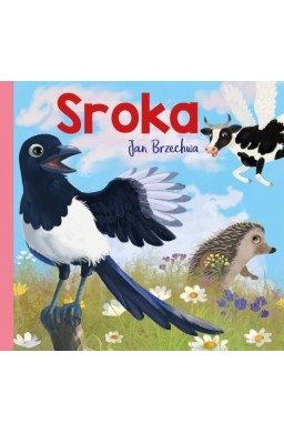 Bajki dla malucha. Sroka
