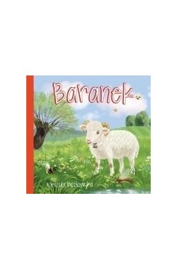 Baranek