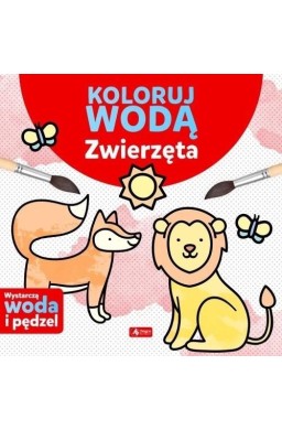 Koloruj wodą. Zwierzęta