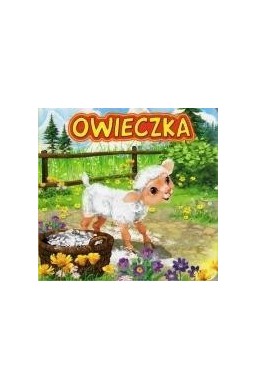 Owieczka JAFI