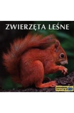 Poznajemy zwierzęta - Zwierzęta leśne