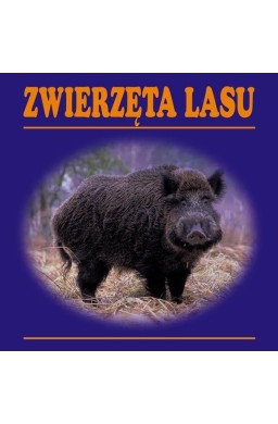 Zwierzęta lasu harmonijka