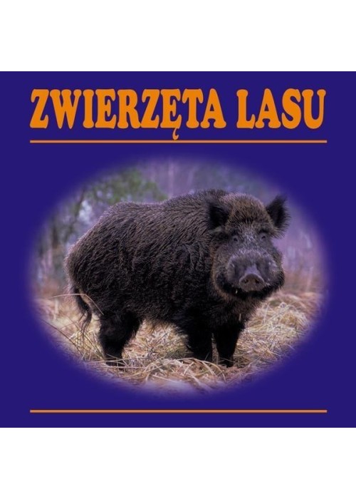 Zwierzęta lasu harmonijka