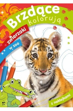 Brzdące kolorują. Zwierzaki w zoo