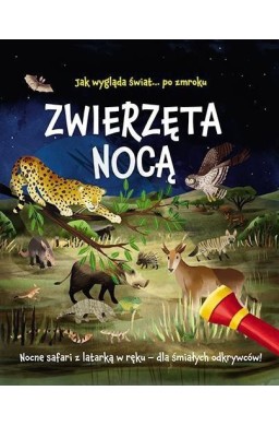 Zwierzęta nocą. Nocne safari z latarką w ręku