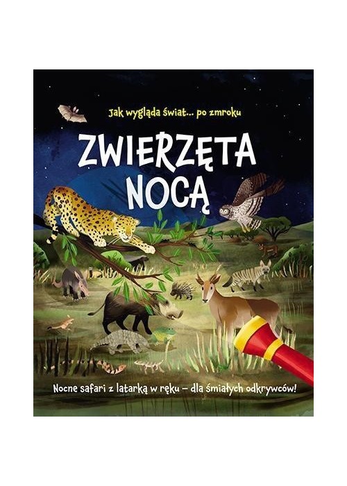 Zwierzęta nocą. Nocne safari z latarką w ręku