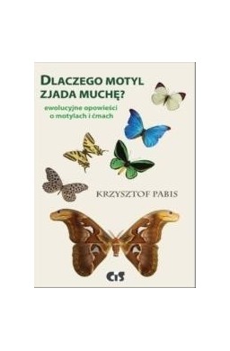 Dlaczego motyl zjada muchę