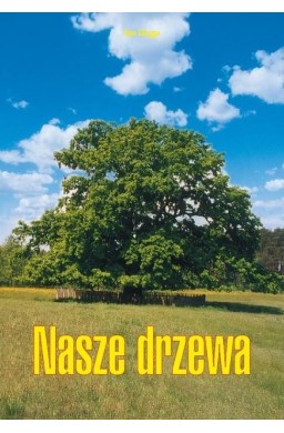 Nasze drzewa