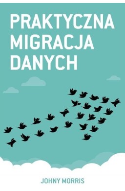 Praktyczna migracja danych