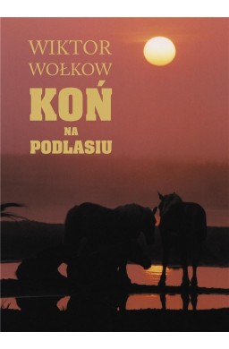 Koń na Podlasiu