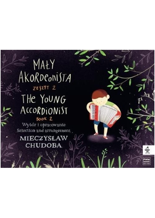 Mały akordeonista z.2