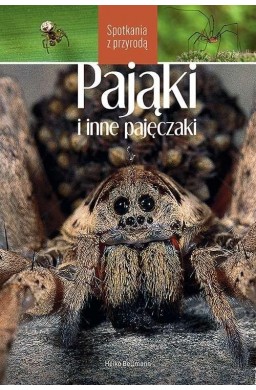 Pająki i inne pajęczaki. Spotkania z przyrodą