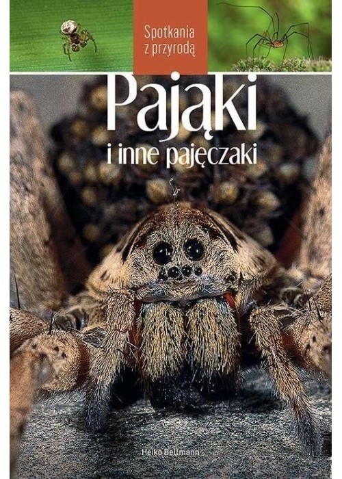 Pająki i inne pajęczaki. Spotkania z przyrodą