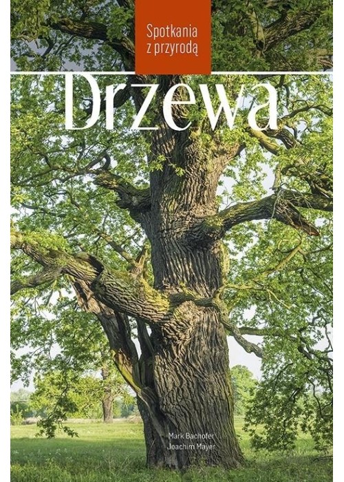 Drzewa. Spotkania z przyrodą