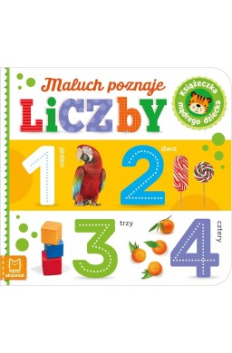 Maluch poznaje liczby. Książeczka mądrego dziecka