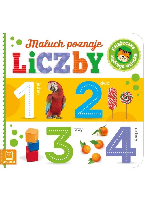 Maluch poznaje liczby. Książeczka mądrego dziecka