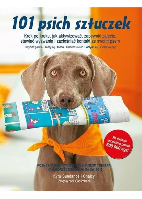 101 psich sztuczek