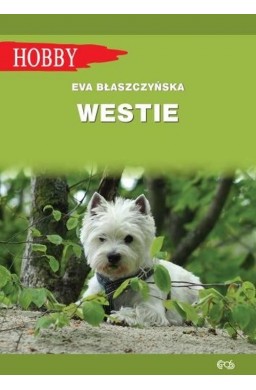 Westie. West highland white terrier