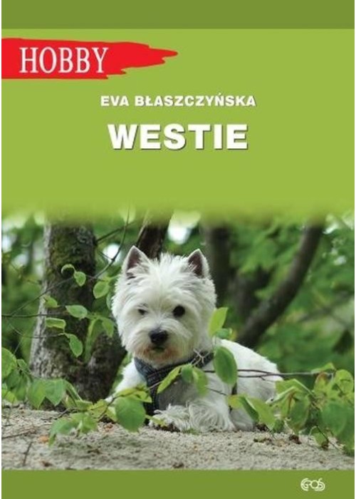 Westie. West highland white terrier