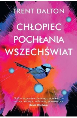 Chłopiec pochłania wszechświat