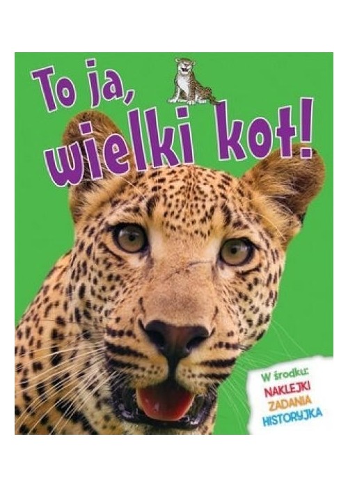 To ja, wielki kot!