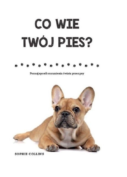 Co wie Twój pies?